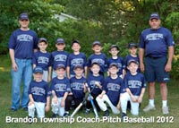 Brandon Township Baseball Sponsorship